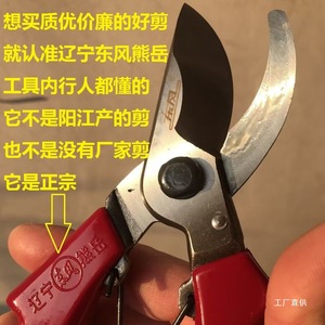 กรรไกรตัดแต่งกิ่งต้นไม้ Dongfeng ทำจากเหล็กกล้าคาร์บอน ขนาด 20-30 มม. สำหรับตัดแต่งต้นไม้ผลไม้ ดอกไม้ บอนไซ ใช้ในงานสวน ด้ามจับสีแดง - Product Image 1