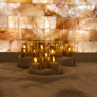 Blocs de sel de l'Himalaya Salle de spa Carreaux de sel Artisanat naturel Construction immobilière 20*10*5cm Briques de sel de l'Himalaya de Chine