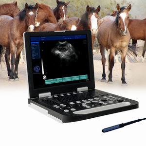 Échographe portable médical numérique complet en <span class=keywords><strong>mode</strong></span> <span class=keywords><strong>B</strong></span> pour petits animaux - Product Image 1