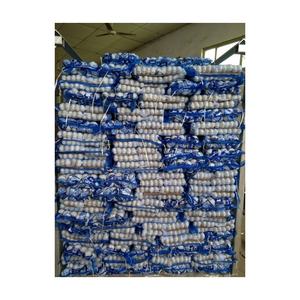 <span class=keywords><strong>Ail</strong></span> frais chinois à bas prix 20kg sac <span class=keywords><strong>en</strong></span> maille paquet <span class=keywords><strong>ail</strong></span> blanc <span class=keywords><strong>ail</strong></span> blanc normal pour l'exportation - Product Image 4