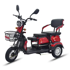 China 3 wheel Foldable Charge Power Mobility Scooter Adult Three Wheel Price Cheap Electric Tricycle For 2 adults
