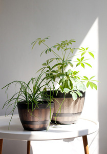 Maceta de Plástico con Aspecto de <span class=keywords><strong>Madera</strong></span> Vintage Ecológica con Orificio de Drenaje para Jardín, Uso Interior/Exterior, Duradera - Product Image 5