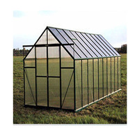 Serre de jardin en verre et métal robuste, cadre en aluminium, kit de serre en verre d'extérieur, serre de luxe préfabriquée pour plantes d'hiver pour la maison