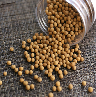 Pilules de miel et d'eau saines, directement du fabricant, saveur spéciale thé tonique au petit gingembre jaune en bouteille de thé