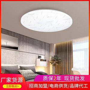 Led Ceiling Light Feather Design Monochrome <b>Childrens</b> Room Lighting 25 Sqm Coverage Zhongshan Origin - Product Image 5