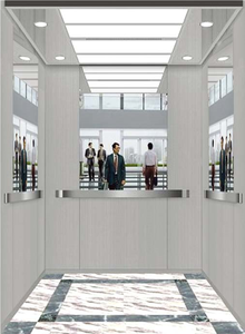 Ascensor Residencial de Lujo Otis, Precio de Fábrica, Moderno, 0.4m/s, Elevador Pequeño de Acero de Alta Resistencia, Diseño Seguro y Duradero - Product Image 6