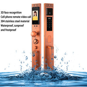 Porte de <span class=keywords><strong>villa</strong></span> de luxe dorée serrure de porte antivol double porte reconnaissance faciale téléphone portable surveillance à distance serrures de porte intelligentes - Product Image 5