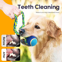 Jouet pour chien en corde de coton pour le tennis, jouet à mâcher durable pour animaux de compagnie pour le nettoyage des dents, vente chaude en usine, logo et couleur personnalisables disponibles