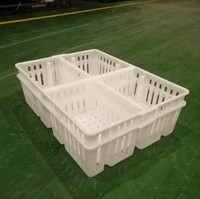 Vente en gros de nouvelles boîtes de transport en plastique de type A caisses de poulet pour cages pour animaux de volaille poussin
