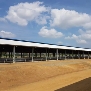 Sistemi di alloggiamento modulare prefabbricati in acciaio per suini, installazione rapida di edifici per allevamenti di pollame, struttura leggera - Product Image 1