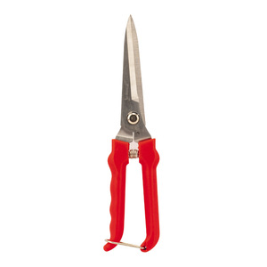 Stainless Steel <b>Pruning</b> Shears With Red Handle For Garden Fruit <b>Tree</b> Branch Cutting <b>Tool</b> - Product Image 4