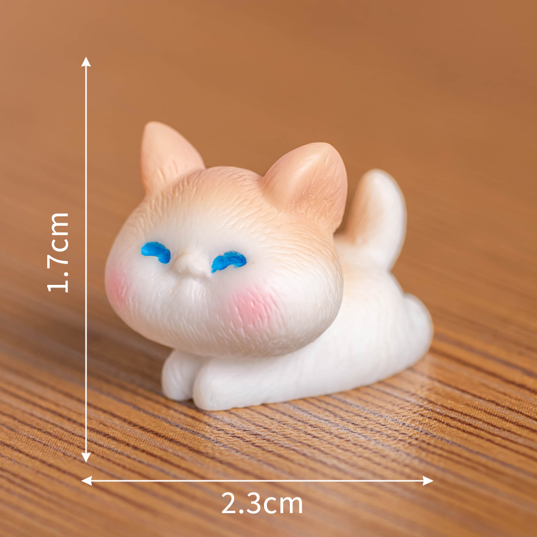 Ragdoll cat #5