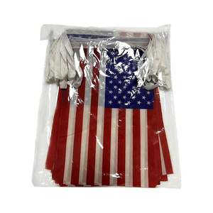 Venta al por mayor de <span class=keywords><strong>Puerto</strong></span> <span class=keywords><strong>Rico</strong></span> cadena pequeña Mini bandera Banner decoraciones <span class=keywords><strong>Puerto</strong></span> <span class=keywords><strong>Rico</strong></span> Bunnting Flags - Product Image 5