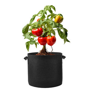 Personnalisé 2 3 5 7 10 30 45 Gal Robuste Réutilisable Cultiver Pot Non-Tissé <span class=keywords><strong>Géotextile</strong></span> Plantation Tissu Sacs de Culture - Product Image 4