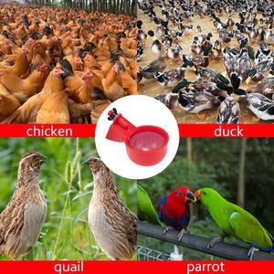 Kit de <span class=keywords><strong>bebedero</strong></span> de pollo automático Premium, 16 Uds., vasos de agua para aves de corral para gallinero, granja y rebaños de patio trasero, instalación rápida y duradera - Product Image 6