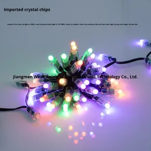 Guirlande lumineuse LED extérieure à pixels pleine couleur WS2811-12V IP67 étanche avec fil noir et remplissage de colle pour arbres de Noël et enseignes publicitaires - Product Image 4