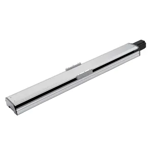 PFTH22M 750W 200-1600mm/s 1-Achsen-Kugelumlaufspindel Antrieb Auf Bestellung Linear führungs schiene CNC Linear führungs blöcke Gleit modul