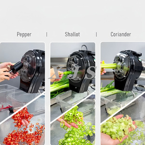 Oferta Especial: Cortadora Eléctrica Comercial de Zanahorias y Jengibre <span class=keywords><strong>para</strong></span> Cebollín, Chile y <span class=keywords><strong>Ajos</strong></span> - Product Image 6