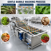 Industriële continue luchtbelwasmachine voor het reinigen van groenten en fruit in een diepvriesvoedselverwerkingsbedrijf