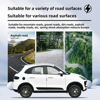 Nouveau véhicule électrique à quatre roues pour usage domestique, nouvelle énergie pour femmes, double usage essence-électrique, véhicule électrique à quatre roues