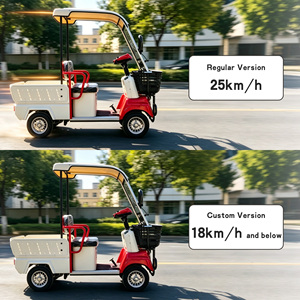Voiturette <span class=keywords><strong>de</strong></span> <span class=keywords><strong>golf</strong></span> électrique HLD <span class=keywords><strong>Mini</strong></span> avec frein électromagnétique pour les descentes, vitesse personnalisée 18 km/h, pour le marché sud-coréen, quadricycle électrique - Product Image 4
