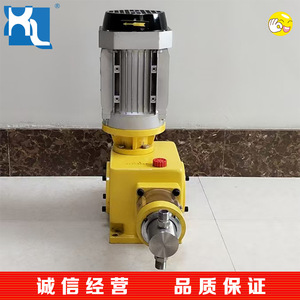 ปั๊มจ่ายสารเคมีแบบลูกสูบ Qingdao Giant Pump รุ่น Dz-X1.250 แรงดัน 50 บาร์ แบบดูดเดี่ยวแนวนอน อัตราการจ่าย 0.012 ลิตรต่อนาที - Product Image 3