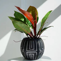 Offre Spéciale mini pots de cactus succulents noirs décoration de jardin intérieur extérieur pots de fleurs en ciment