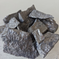 Poudre de silicium-calcium, inoculant ferroalliage Casi pour l'industrie de la fonderie de fonte grise et de fonte ductile