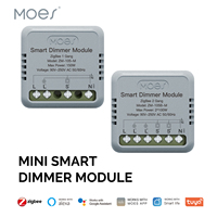 Tuya Zigbee Module de gradateur intelligent minuterie bricolage disjoncteur lumière gradateur 1/2 Gang