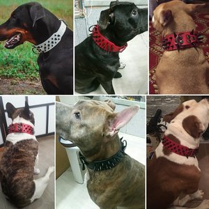 High Quality Adjustable PU Leather <strong>Dog</strong> <strong>Collar</strong> Sharp <strong>Spiked</strong> Studded Rivet Durable Bully Print Pattern for Big <strong>Dogs</strong> - Product Image 6