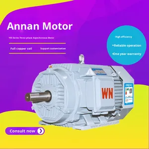 Ngành công nghiệp wannan điện (An Huy) ye5 loạt ba pha động cơ không đồng bộ | đầy đủ cuộn dây đồng | ie5 hiệu quả | 3000rpm - Product Image 4