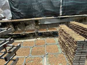 Paquete de Incienso de Agarwood Puro en Cono, 100% Natural, Polvo de Agarwood Orgánico, Ecológico, de Larga Duración, Hecho a Mano, Aromaterapia, Lavanda - Product Image 6