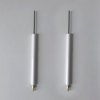Electrodo de Encendido y Sonda de Ionización para Quemadores FS10 FS20, Repuesto para Sistema de Combustión Industrial, Detector de Llama