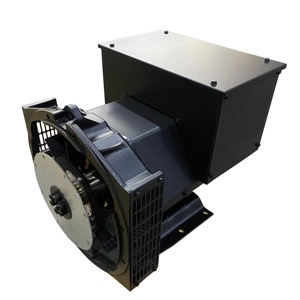 1500 vòng/phút 50Hz 31.3kva không chổi than phát điện đầu 25kw ba pha duy nhất mang máy phát điện diesel - Product Image 1