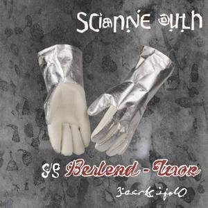 Gants de sécurité pour four industriel résistants à 350°C, isolés en feuille d'aluminium aluminisée avec feutre métaramide pour utilisation en four - Product Image 2