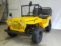 Vente d'usine - Mini quads Willys 110cc à essence, 2 roues motrices, 4 temps, automatiques, certifiés EPA et EEC, UTV pour enfants
