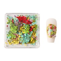 1 Boîte de Décorations Florales pour Ongles, Fleurs Séchées 3D Délicates, Décorations Exquises pour Ongles, Accessoires de Beauté pour Ongles