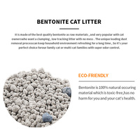 Litière Agglomérante Grise Désodorisante Sans Poussière Parfum Jasmin Certifiée ISO9001 Litière pour Chat en Bentonite Hautement Absorbante