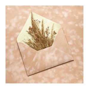 Enveloppes élégantes <span class=keywords><strong>en</strong></span> velours rose pour 21 ans, invitation de mariage pour fête d'anniversaire, emballage de cartes RSVP, enveloppes <span class=keywords><strong>en</strong></span> velours de couleur personnalisée - Product Image 5