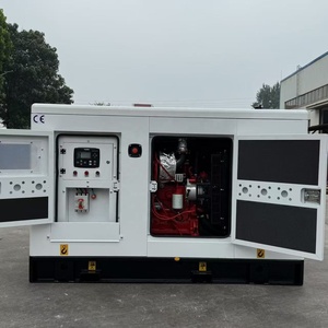 30KVA 20KW 30KW カミンズ プロパン発電機 天然ガス LPG 発電機 スタンバイ 50/60HZ 380V 440V 240V 発電機 家庭用発電機 - Product Image 3