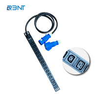 PDU de base 32A pour montage en rack avec protection contre les surcharges, protection contre les surtensions en option, prises personnalisables
