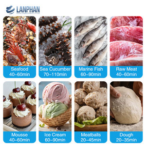 178L 300L 650L 1100 1400L Máquina de congelación rápida Automática Industrial Congelador rápido de alimentos para bolas de masa hervida Pescado Productos marinos - Product Image 2