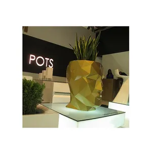 Luxurious design and decoration flowerpot The face section shape face flower pot