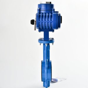 Válvula de Hierro Fundido PN16 con Sello Suave D941X de 2"-80", Venta Directa de Fábrica, para Agua, Gas, Petróleo y Energía - Product Image 2