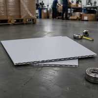 Panneau en nid d'abeille PP OEM/ODM, plaque en plastique ondulé en polypropylène pour applications industrielles