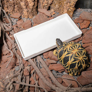 Mélamine Plastique Crawler Pot D'alimentation Rutine Poulet Jaune Bord <span class=keywords><strong>Tortue</strong></span> Lézard <span class=keywords><strong>Terre</strong></span> <span class=keywords><strong>Tortue</strong></span> Alimentation Pot D'eau Plaque - Product Image 6