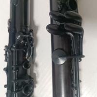 Professional Bb Clarinet Ebony Wood Body, Black Nickel Keys