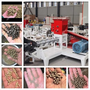 Línea de Producción de Alimento para Peces Pequeños <span class=keywords><strong>LIMA</strong></span>, Máquina Extrusora de Alimento para Peces de 200~300 Kg/H para Granja, Mini Máquina Eléctrica de Peletización de Alimento para Peces - Product Image 3