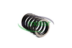 Pièces de moteurs de machines d'excellente qualité Ressort de compression Soupape de RS-01222051 MWM - Product Image 4
