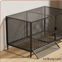 Cage à poussins d'un jour de haute qualité avec cadre en fer galvanisé classique, emballée en boîte, conception anti-rongeurs, collecte des œufs
